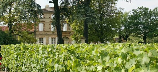 chateau-clement-termes-vin-gaillac